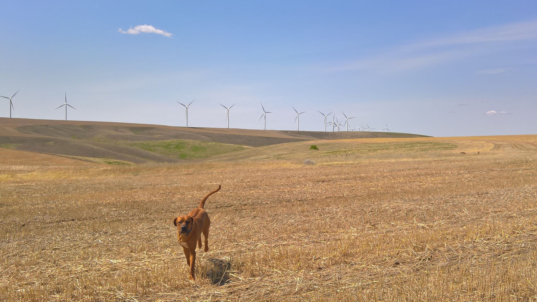 Running with Windmills