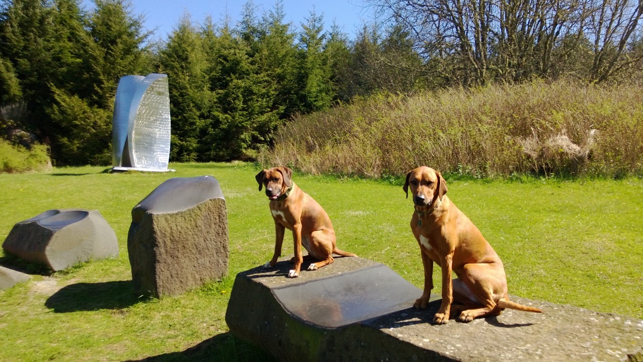 Monumental Ridgebacks